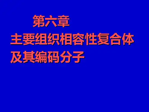MHC分子