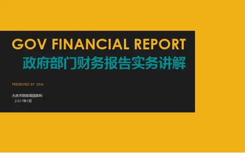政府部门财务报告实务讲解