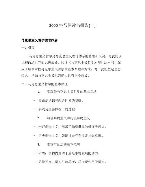3000字马原读书报告(一)