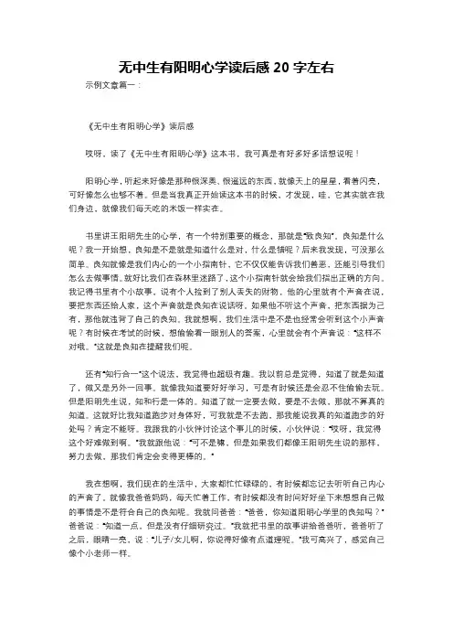 无中生有阳明心学读后感20字左右