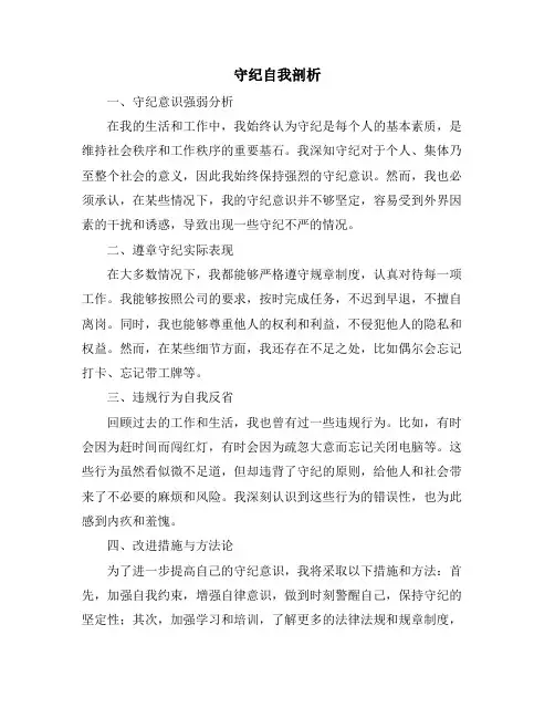 守纪自我剖析