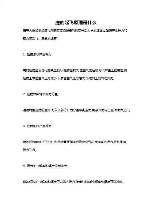 鹰的起飞原理是什么