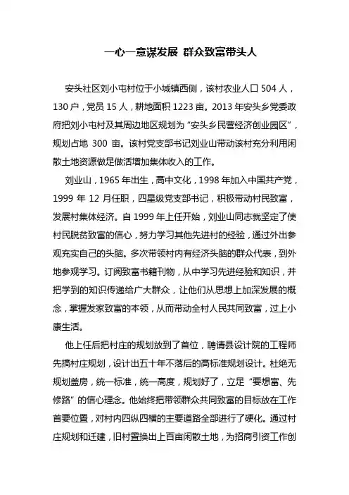一心一意谋发展 群众致富带头人