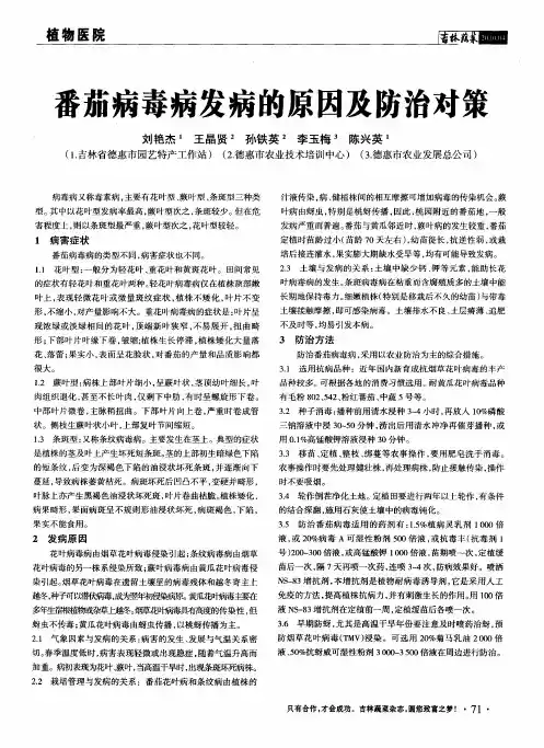 番茄病毒病发病的原因及防治对策