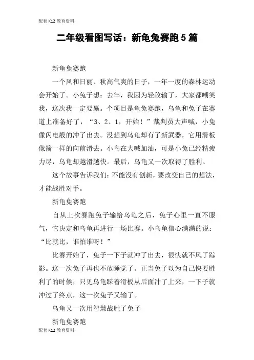 【配套K12】二年级看图写话：新龟兔赛跑5篇