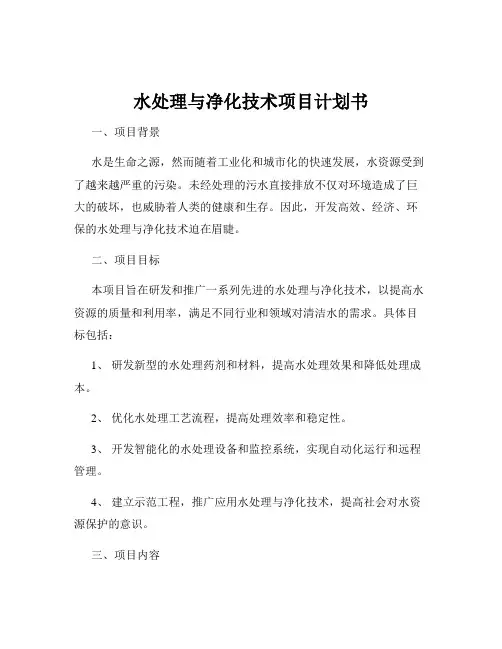 水处理与净化技术项目计划书
