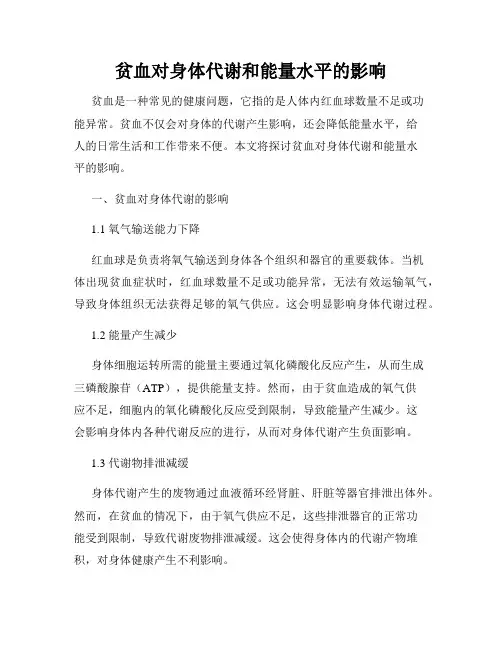 贫血对身体代谢和能量水平的影响