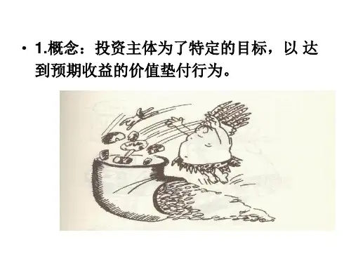投资决策分析12节ppt课件