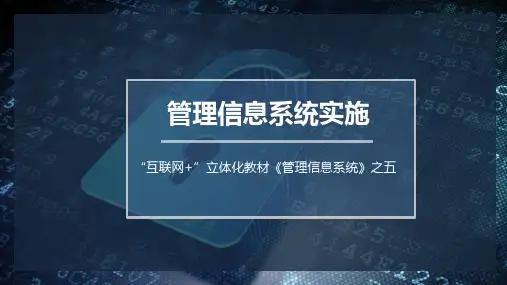 《管理信息系统》第五章