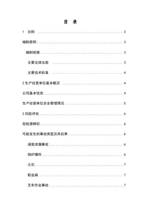 安全生产事故应急预案风险评估]报告