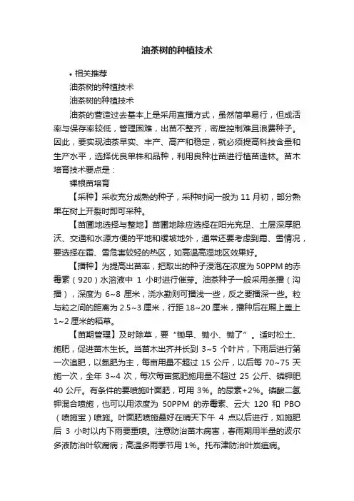 油茶树的种植技术