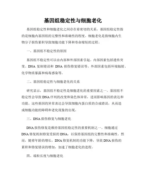 基因组稳定性与细胞老化