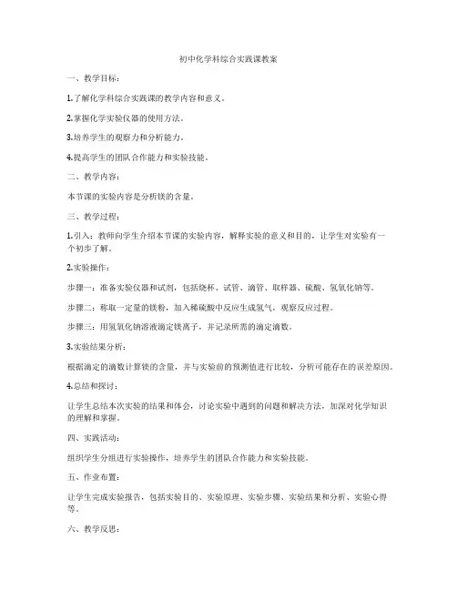 初中化学科综合实践课教案