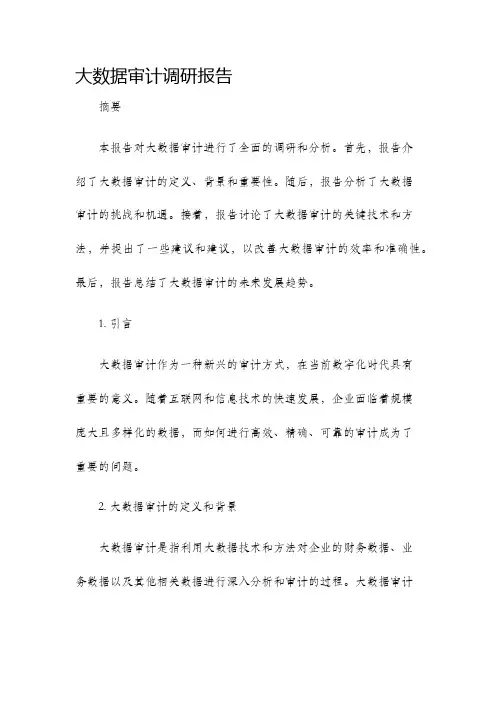 大数据审计调研报告