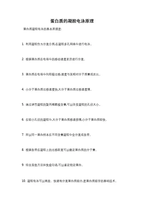 蛋白质的凝胶电泳原理