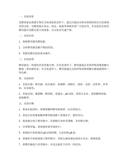生物实验报告_发酵现象