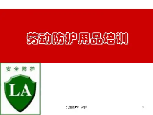 个人防护用品培训ppt课件