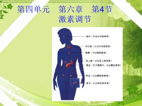 激素调节PPT课件30 人教版