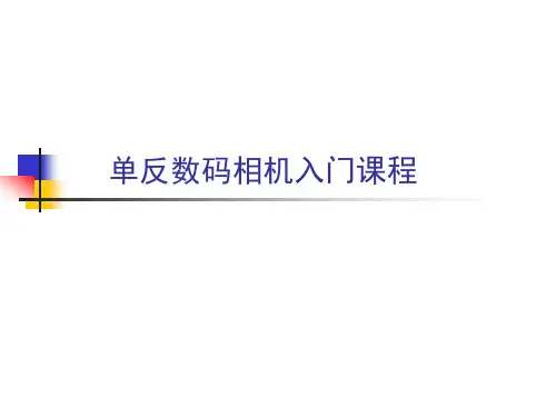 单反入门课程培训