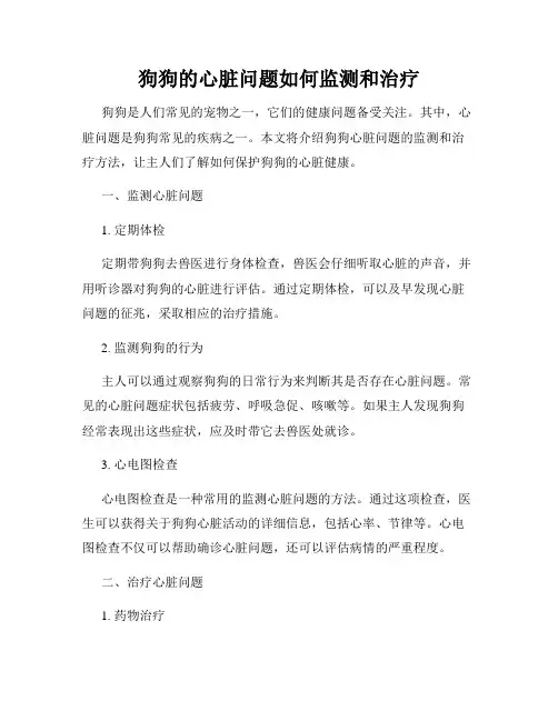 狗狗的心脏问题如何监测和治疗