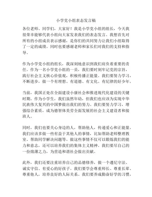 小学党小组表态发言稿