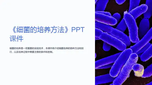 《细菌的培养方法》课件