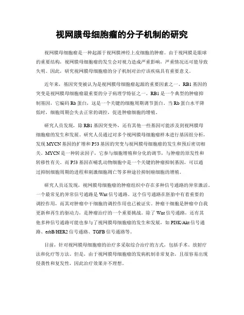 视网膜母细胞瘤的分子机制的研究
