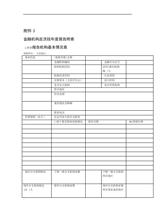 金融机构反洗钱年报告附表