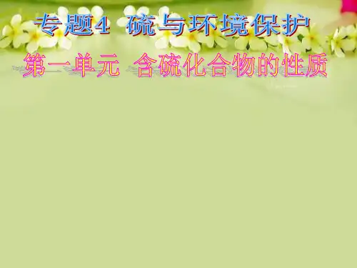 硫酸的工业制备