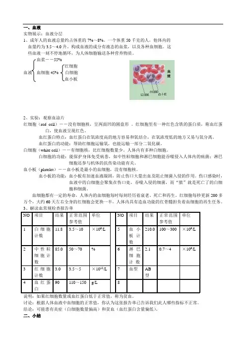 血液循环知识点 2