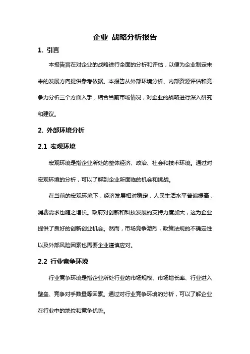 企业 战略分析报告