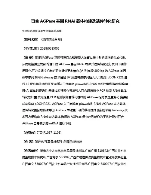 百合AGPase基因RNAi载体构建及遗传转化研究