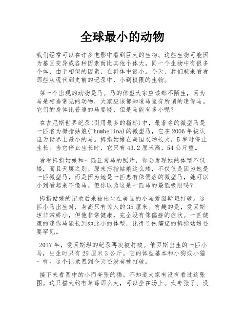 全球最小的动物