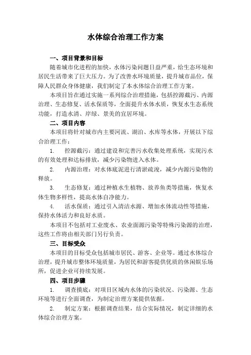 水体综合治理工作方案
