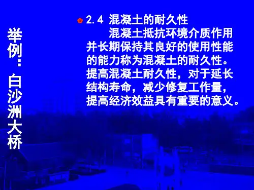 混凝土耐久性.ppt