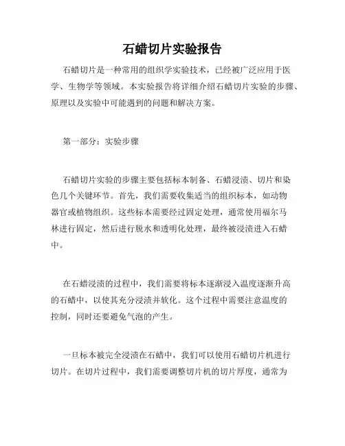 石蜡切片实验报告