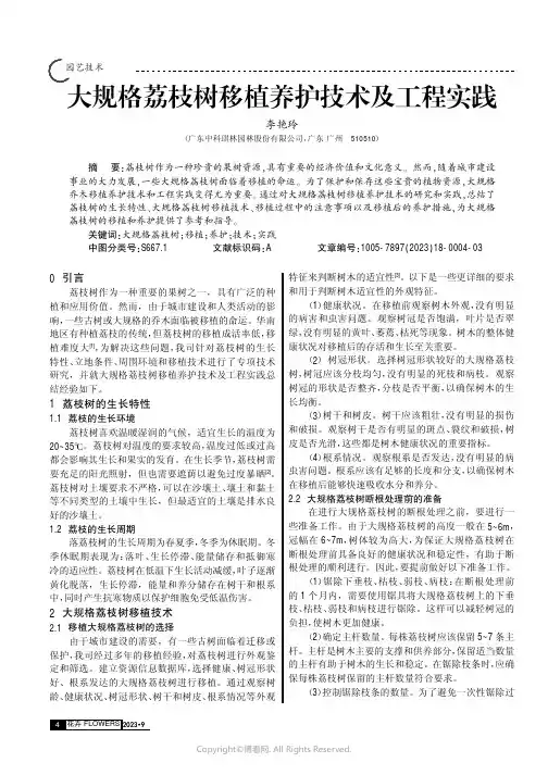大规格荔枝树移植养护技术及工程实践
