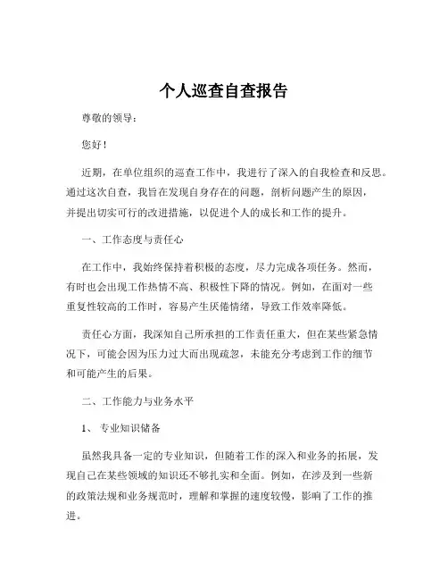 个人巡查自查报告