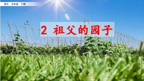 五年级下册语文课件-2 祖父的园子 部编版(共17张PPT)