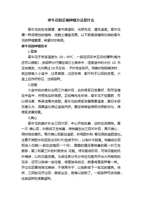 牵牛花的正确种植方法是什么