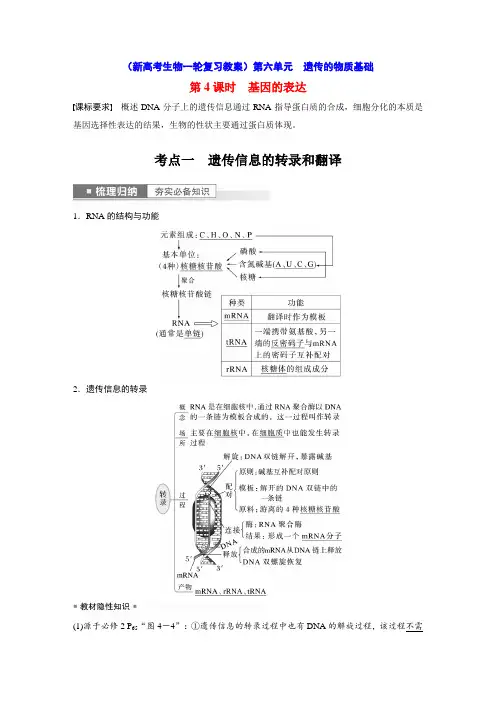 基因的表达(新高考生物一轮复习教案)