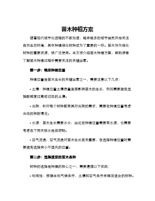 苗木种植方案