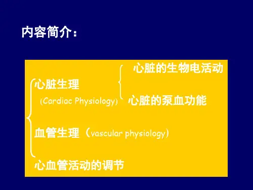 血液循环2生理学PPT课件