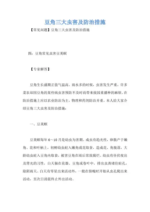 豆角三大虫害及防治措施