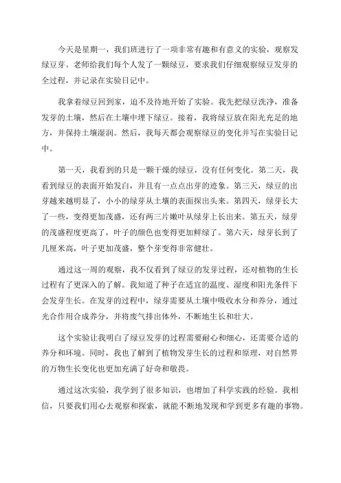 五年级日记观察发绿豆芽