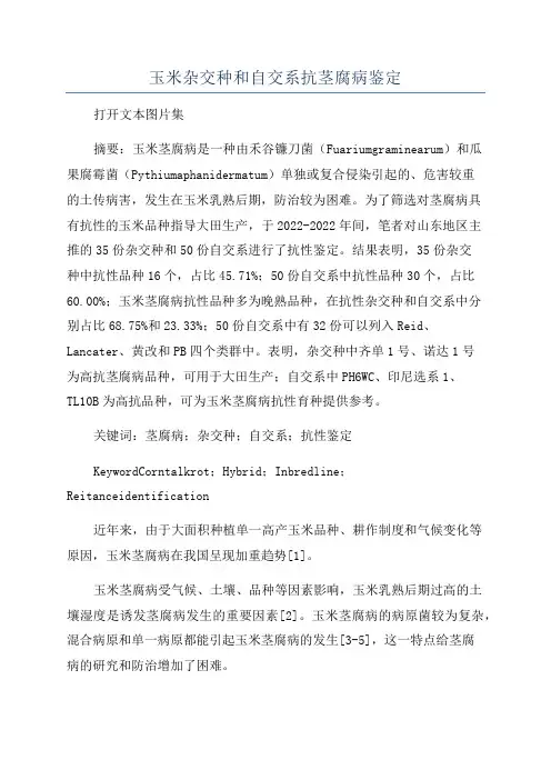 玉米杂交种和自交系抗茎腐病鉴定