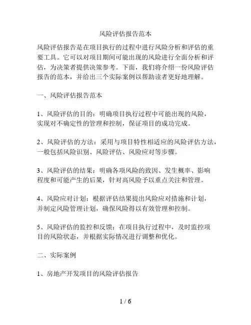 风险评估报告范本