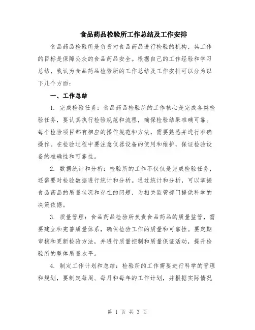 食品药品检验所工作总结及工作安排