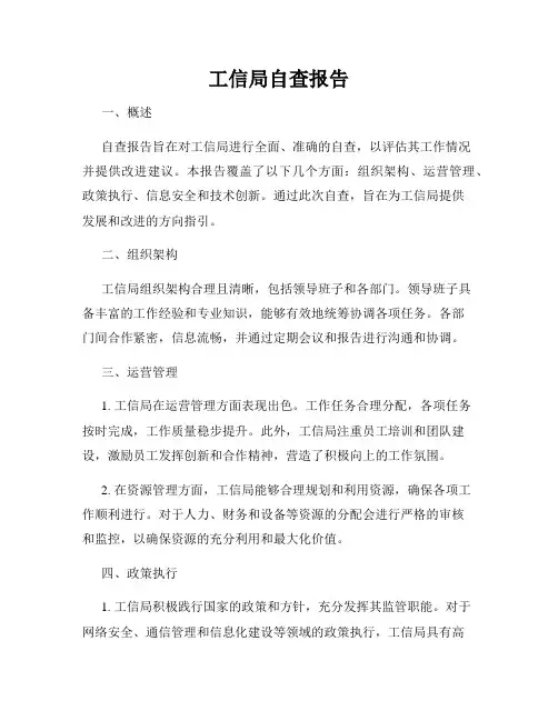 工信局自查报告
