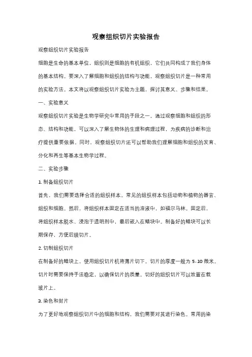 观察组织切片实验报告